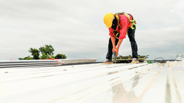 Best Skylight Installation and Repair  in Sunnyside, WA