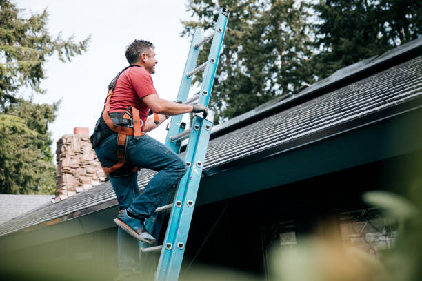 Best Roof Maintenance and Cleaning  in Sunnyside, WA